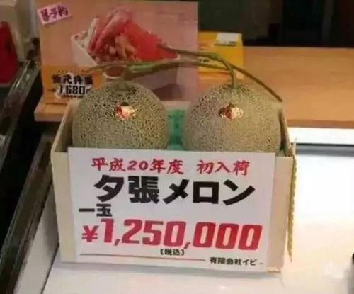 吃瓜群众休闲娱乐馆