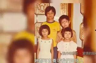 入娱乐圈好吗,梦想起航的璀璨舞台